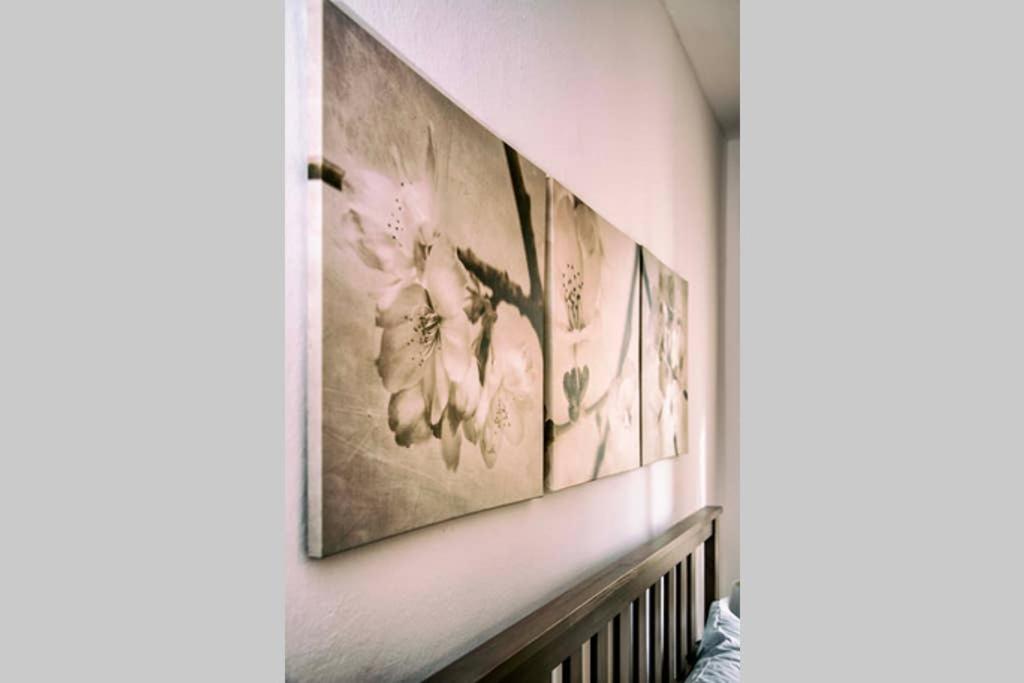 Apartment Casa Letizia